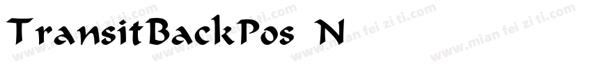 TransitBackPos Norma字体转换